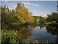 Pond at Lower Bruckland Trout Fishery in EX13 8SR