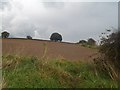 Ploughed Field near Bushypark Farm in Pilsley