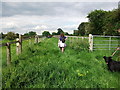 Fenced off path through alpaca farm in CV8 1NN
