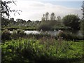 Lower Bruckland Trout Fishery in EX13 8SR