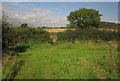 Footpath at Lower Bruckland in EX13 8SR