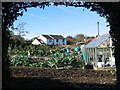 Vegetable patch, Woolley Moor in DE55 6FF