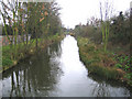 Duke of Northumberland's River in North Feltham in TW14 0LZ