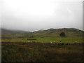 A dank, dark day in the mountains and glens of Perthshire in PH8 0EG