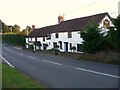 "The White Horse" at South Cheriton in BA8 0BS