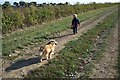 Walking the dog near New Barn in DA3 7JG