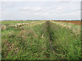 Ditch off Old Mill Drove in PE15 0NF