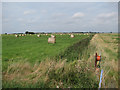 Hay Bales by Old Mill Drove in PE15 0NF