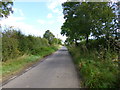 Cowgrove, country road in BH21 4BY