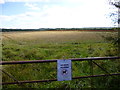 Cowgrove, stubble field in BH21 4EJ