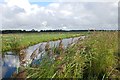Ludham & Potter Heigham Marshes National Nature Reserve in NR29 5JX