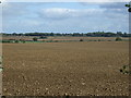 Farmland, Foxon's Corner in CV23 0RJ