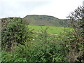 View to Moel Bentyrch from lane near Cefndre farm in SY21 0HY