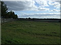 Grazing, Witham Villa in LE9 6TB