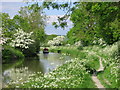 Kennet and Avon Canal with boat and Nippa in SN10 2JY