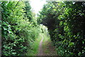 Footpath to Holborough in ME2 1JY