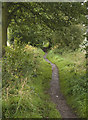 Path south of Blackleyhurst Farm, Billinge in WN5 7TH