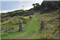 Gateposts beside the track at Killiechoinich in PA34 4XU