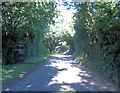 Bighton Road northeast of High Dell Farm in Bighton