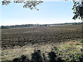Newly cultivated farmland north of Lower College Copse in GU34 5NS