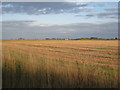 View towards Walk Farm in Asgarby and Howell