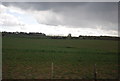 Farmland between the A2 and the railway line in ME13 0SX