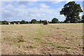 Hay field near Lowerstone Farm in GL13 9DJ