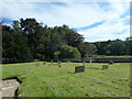 St Mary, Almer: churchyard (1) in DT11 9EW