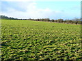 Farmland, Elcombe, Swindon in SN4 9LU