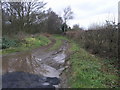 Muddy Bridleway in WS13 8JS