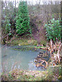 Pond, Jarvis Brook Country Park in TN6 3FT