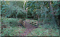 Footbridge over Cobbin's Brook in Brookmeadow Wood in EN9 2AP