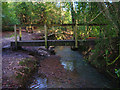 Footbridge, Jeffrey's Wood in TN6 2EH