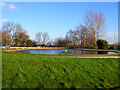 Crowborough Centenary Lake in TN6 2SA