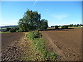 Autumn ploughsoil in the Wash Brook valley in GL6 6NN