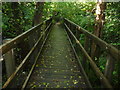 Footbridge over the stream in GL6 6NF