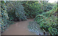 Cobbin's Brook: view from bridge in EN9 3LE