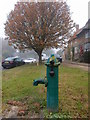 Water Pillar in Yardley Hastings in Yardley Hastings