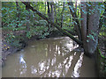 Cobbin's Brook: view from bridge in EN9 2AP