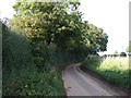 Lane heading north towards Hurley in CV9 2HU