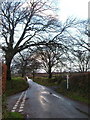 Lane junction near Rowden Farm in PL19 0LS