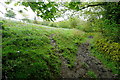 Bridleway past Overbrent Woods in TQ10 9EQ