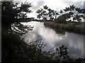 The River Trent near Walton in DE12 8LZ
