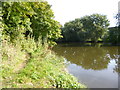 Shardlow, River Trent in DE74 2UD
