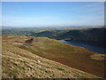 Sheep grazing above Haweswater in Bampton