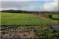 Farmland to the west of the A480 in HR4 7BY