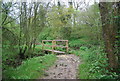 Footbridge, Wey South Path in RH14 0ES