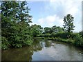 Bend on the Worcester and Birmingham Canal in B48 7DE
