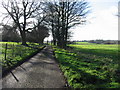 Track near Lee Priory. in CT3 1UR
