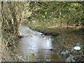 Stream in Donhead St Andrew in SP7 9EA